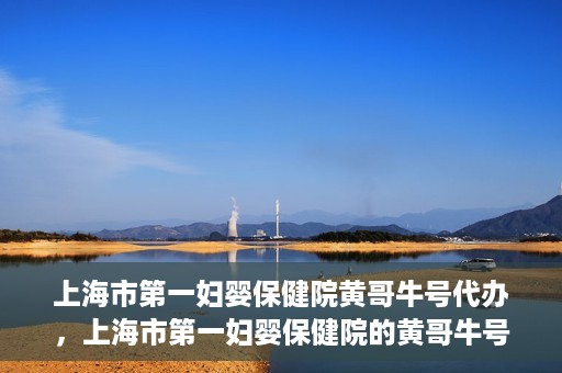 上海市第一妇婴保健院黄哥牛号代办，上海市第一妇婴保健院的黄哥牛号代办服务解析