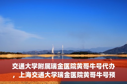交通大学附属瑞金医院黄哥牛号代办，上海交通大学瑞金医院黄哥牛号预约代办服务解析