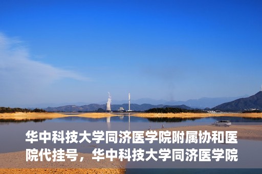 华中科技大学同济医学院附属协和医院代挂号，华中科技大学同济医学院附属协和医院代挂号服务详解
