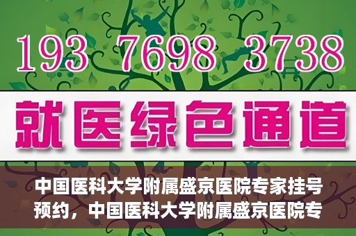 中国医科大学附属盛京医院专家挂号预约，中国医科大学附属盛京医院专家挂号预约攻略，一站式预约服务解析