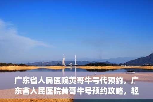 广东省人民医院黄哥牛号代预约，广东省人民医院黄哥牛号预约攻略，轻松掌握预约流程