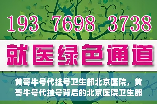 黄哥牛号代挂号卫生部北京医院，黄哥牛号代挂号背后的北京医院卫生部揭秘