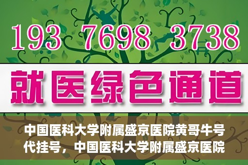 中国医科大学附属盛京医院黄哥牛号代挂号，中国医科大学附属盛京医院黄哥牛号代挂号背后的故事与真相揭秘