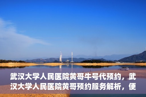 武汉大学人民医院黄哥牛号代预约，武汉大学人民医院黄哥预约服务解析，便捷医疗，牛号代预约新体验