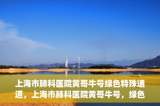 上海市肺科医院黄哥牛号绿色特殊通道，上海市肺科医院黄哥牛号，绿色特殊通道开启健康之门