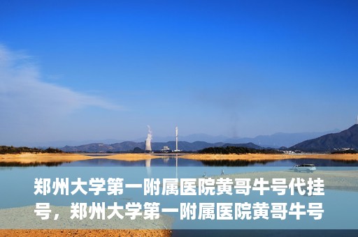 郑州大学第一附属医院黄哥牛号代挂号，郑州大学第一附属医院黄哥牛号代挂号攻略揭秘