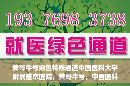 黄哥牛号绿色特殊通道中国医科大学附属盛京医院，黄哥牛号，中国医科大学附属盛京医院开启绿色特殊通道助力医疗进步
