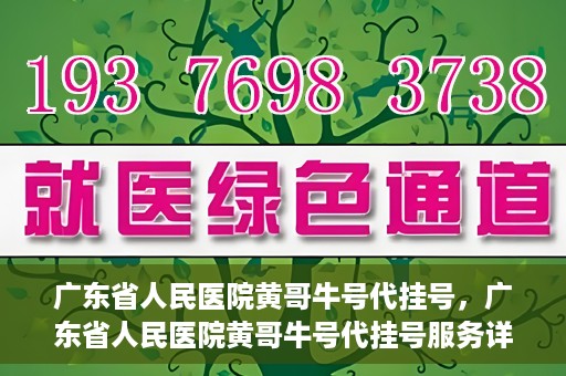 广东省人民医院黄哥牛号代挂号，广东省人民医院黄哥牛号代挂号服务详解