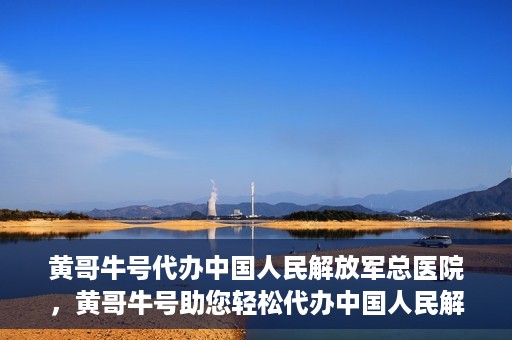 黄哥牛号代办中国人民解放军总医院，黄哥牛号助您轻松代办中国人民解放军总医院业务手续