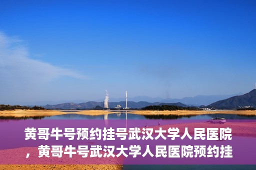 黄哥牛号预约挂号武汉大学人民医院，黄哥牛号武汉大学人民医院预约挂号攻略