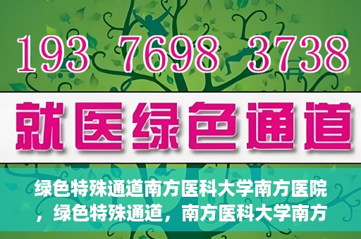 绿色特殊通道南方医科大学南方医院，绿色特殊通道，南方医科大学南方医院的探索与实践