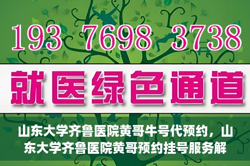 山东大学齐鲁医院黄哥牛号代预约，山东大学齐鲁医院黄哥预约挂号服务解析