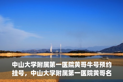 中山大学附属第一医院黄哥牛号预约挂号，中山大学附属第一医院黄哥名医牛号预约挂号攻略