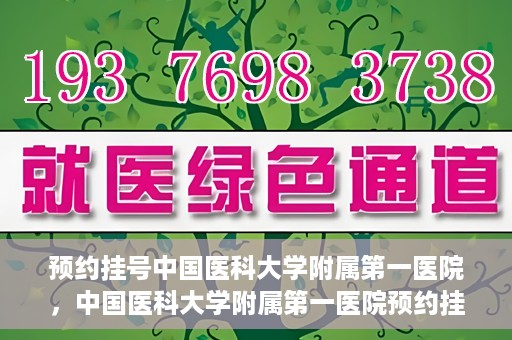 预约挂号中国医科大学附属第一医院，中国医科大学附属第一医院预约挂号系统启动，一站式服务助您轻松就医