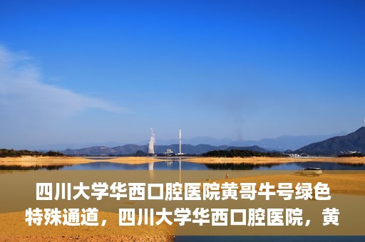 四川大学华西口腔医院黄哥牛号绿色特殊通道，四川大学华西口腔医院，黄哥牛号绿色特殊通道揭秘