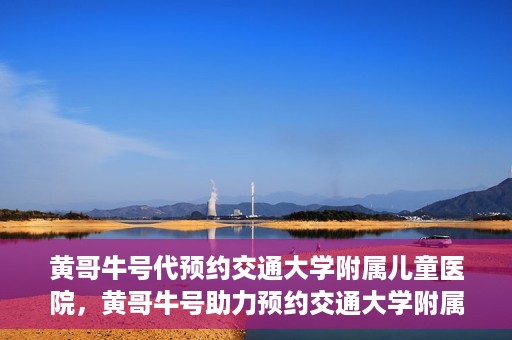 黄哥牛号代预约交通大学附属儿童医院，黄哥牛号助力预约交通大学附属儿童医院专业服务