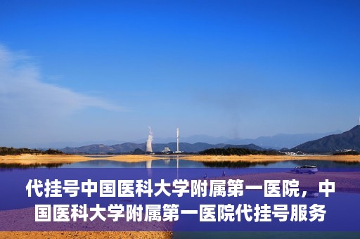 代挂号中国医科大学附属第一医院，中国医科大学附属第一医院代挂号服务详解