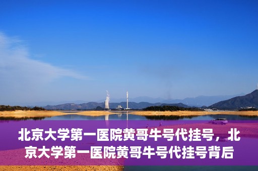 北京大学第一医院黄哥牛号代挂号，北京大学第一医院黄哥牛号代挂号背后的故事与真相探索