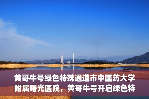 黄哥牛号绿色特殊通道市中医药大学附属曙光医院，黄哥牛号开启绿色特殊通道，市中医药大学附属曙光医院倾力打造健康新篇章