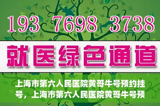 上海市第六人民医院黄哥牛号预约挂号，上海市第六人民医院黄哥牛号预约挂号攻略，轻松挂号，便捷就医体验