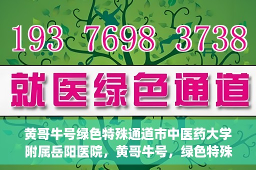 黄哥牛号绿色特殊通道市中医药大学附属岳阳医院，黄哥牛号，绿色特殊通道助力中医药大学附属岳阳医院健康前行