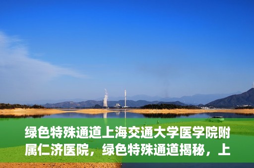 绿色特殊通道上海交通大学医学院附属仁济医院，绿色特殊通道揭秘，上海交通大学医学院附属仁济医院的探索与实践