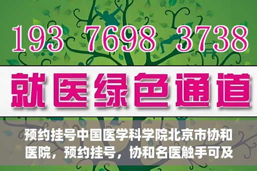 预约挂号中国医学科学院北京市协和医院，预约挂号，协和名医触手可及，中国医学科学院北京市协和医院就医指南