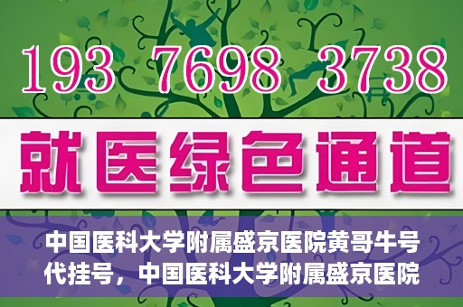 中国医科大学附属盛京医院黄哥牛号代挂号，中国医科大学附属盛京医院黄哥牛号代挂号背后的故事与真相揭秘