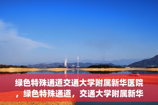 绿色特殊通道交通大学附属新华医院，绿色特殊通道，交通大学附属新华医院的探索与实践