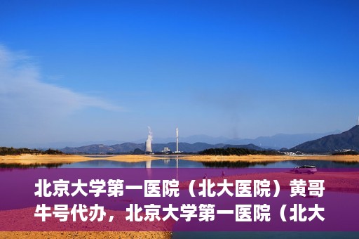 北京大学第一医院（北大医院）黄哥牛号代办，北京大学第一医院（北大医院）黄哥牛号代办，揭秘背后的故事