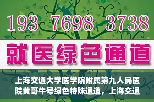 上海交通大学医学院附属第九人民医院黄哥牛号绿色特殊通道，上海交通大学医学院附属第九人民医院黄哥牛号，绿色特殊通道开启健康之门