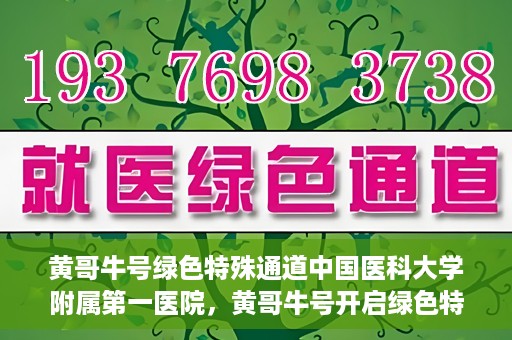 黄哥牛号绿色特殊通道中国医科大学附属第一医院，黄哥牛号开启绿色特殊通道，中国医科大学附属第一医院助力健康中国行动