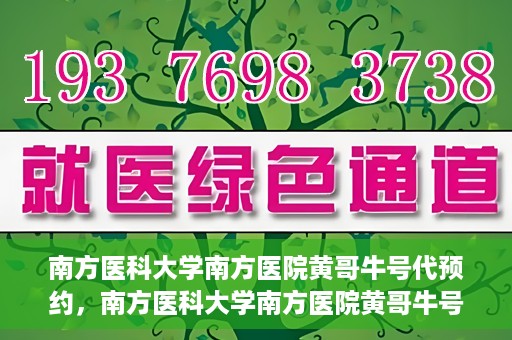 南方医科大学南方医院黄哥牛号代预约，南方医科大学南方医院黄哥牛号预约服务解析