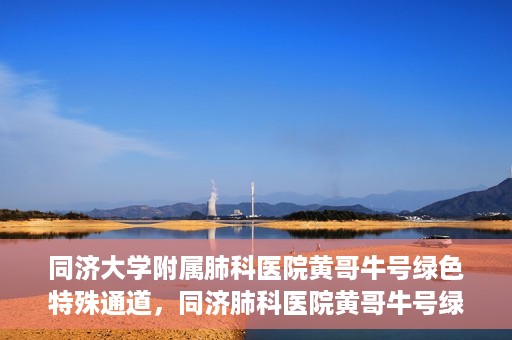 同济大学附属肺科医院黄哥牛号绿色特殊通道，同济肺科医院黄哥牛号绿色特殊通道揭秘