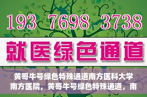 黄哥牛号绿色特殊通道南方医科大学南方医院，黄哥牛号绿色特殊通道，南方医科大学南方医院的探索与实践