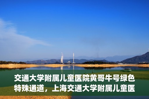 交通大学附属儿童医院黄哥牛号绿色特殊通道，上海交通大学附属儿童医院黄哥牛号绿色特殊通道揭秘