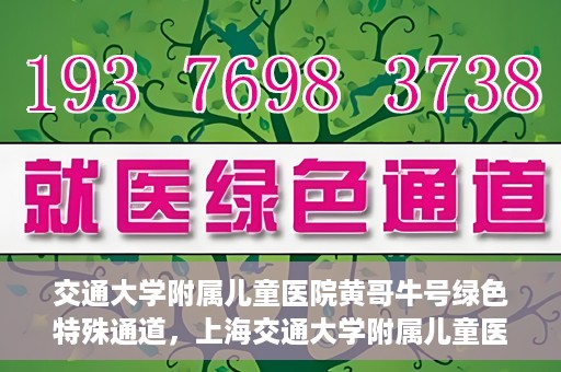 交通大学附属儿童医院黄哥牛号绿色特殊通道，上海交通大学附属儿童医院黄哥牛号绿色特殊通道揭秘