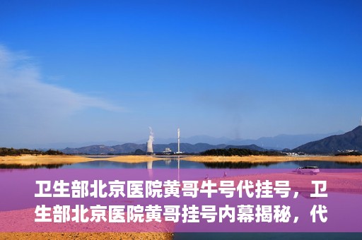 卫生部北京医院黄哥牛号代挂号，卫生部北京医院黄哥挂号内幕揭秘，代挂号背后的故事