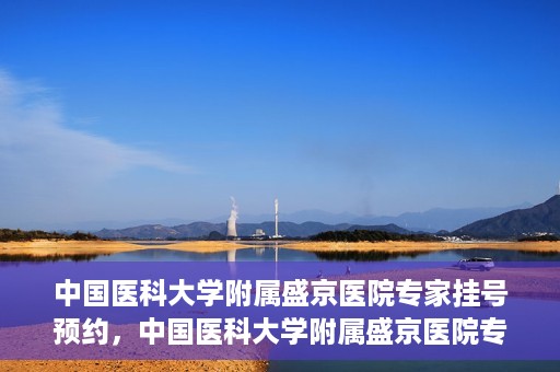 中国医科大学附属盛京医院专家挂号预约，中国医科大学附属盛京医院专家挂号预约攻略，一站式预约服务解析