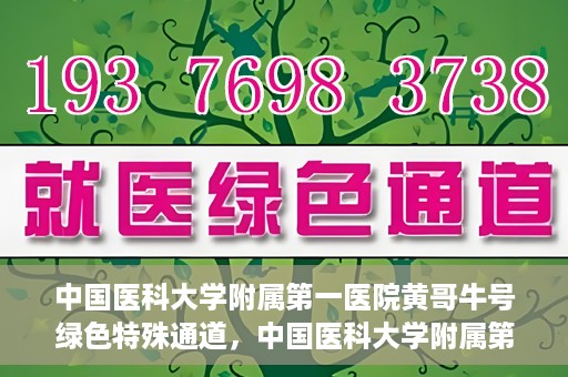 中国医科大学附属第一医院黄哥牛号绿色特殊通道，中国医科大学附属第一医院黄哥牛号，绿色特殊通道的开启与探索