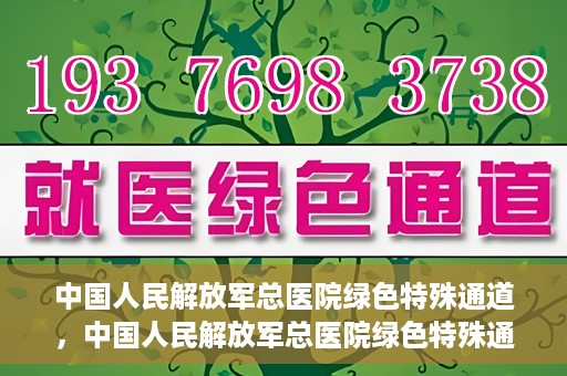 中国人民解放军总医院绿色特殊通道，中国人民解放军总医院绿色特殊通道，医疗服务的紧急通道与人文关怀的完美结合