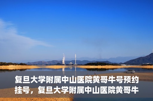 复旦大学附属中山医院黄哥牛号预约挂号，复旦大学附属中山医院黄哥牛号预约挂号攻略解析