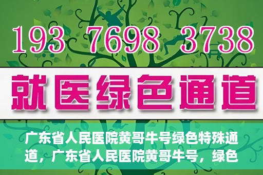 广东省人民医院黄哥牛号绿色特殊通道，广东省人民医院黄哥牛号，绿色特殊通道开启健康之门
