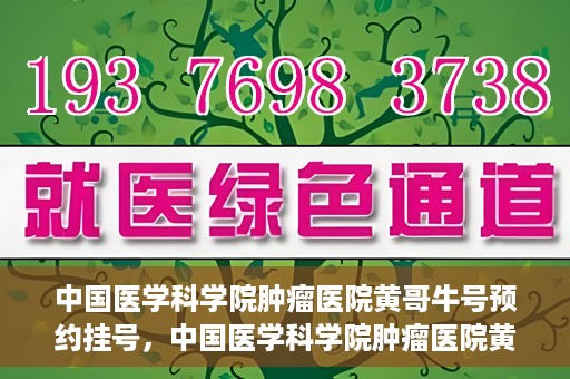 中国医学科学院肿瘤医院黄哥牛号预约挂号，中国医学科学院肿瘤医院黄哥牛号预约挂号攻略，一站式解决您的挂号难题