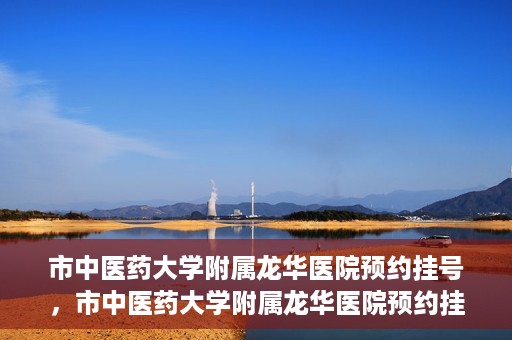 市中医药大学附属龙华医院预约挂号，市中医药大学附属龙华医院预约挂号攻略，一站式解决您的挂号难题