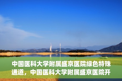 中国医科大学附属盛京医院绿色特殊通道，中国医科大学附属盛京医院开通绿色特殊通道，助力患者快速就医
