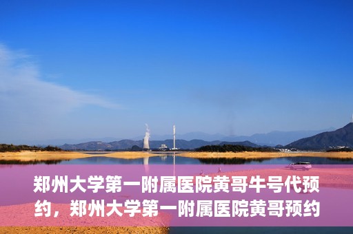 郑州大学第一附属医院黄哥牛号代预约，郑州大学第一附属医院黄哥预约代挂号服务解析