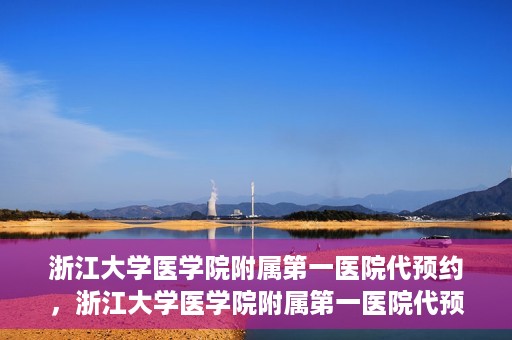 浙江大学医学院附属第一医院代预约，浙江大学医学院附属第一医院代预约服务详解