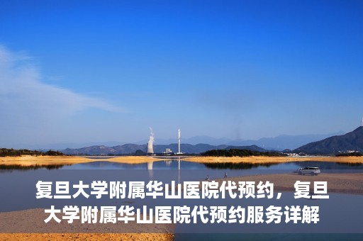 复旦大学附属华山医院代预约，复旦大学附属华山医院代预约服务详解