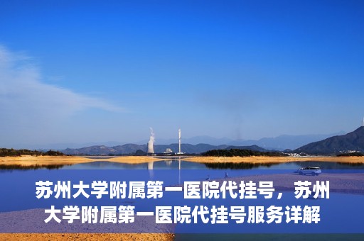 苏州大学附属第一医院代挂号，苏州大学附属第一医院代挂号服务详解